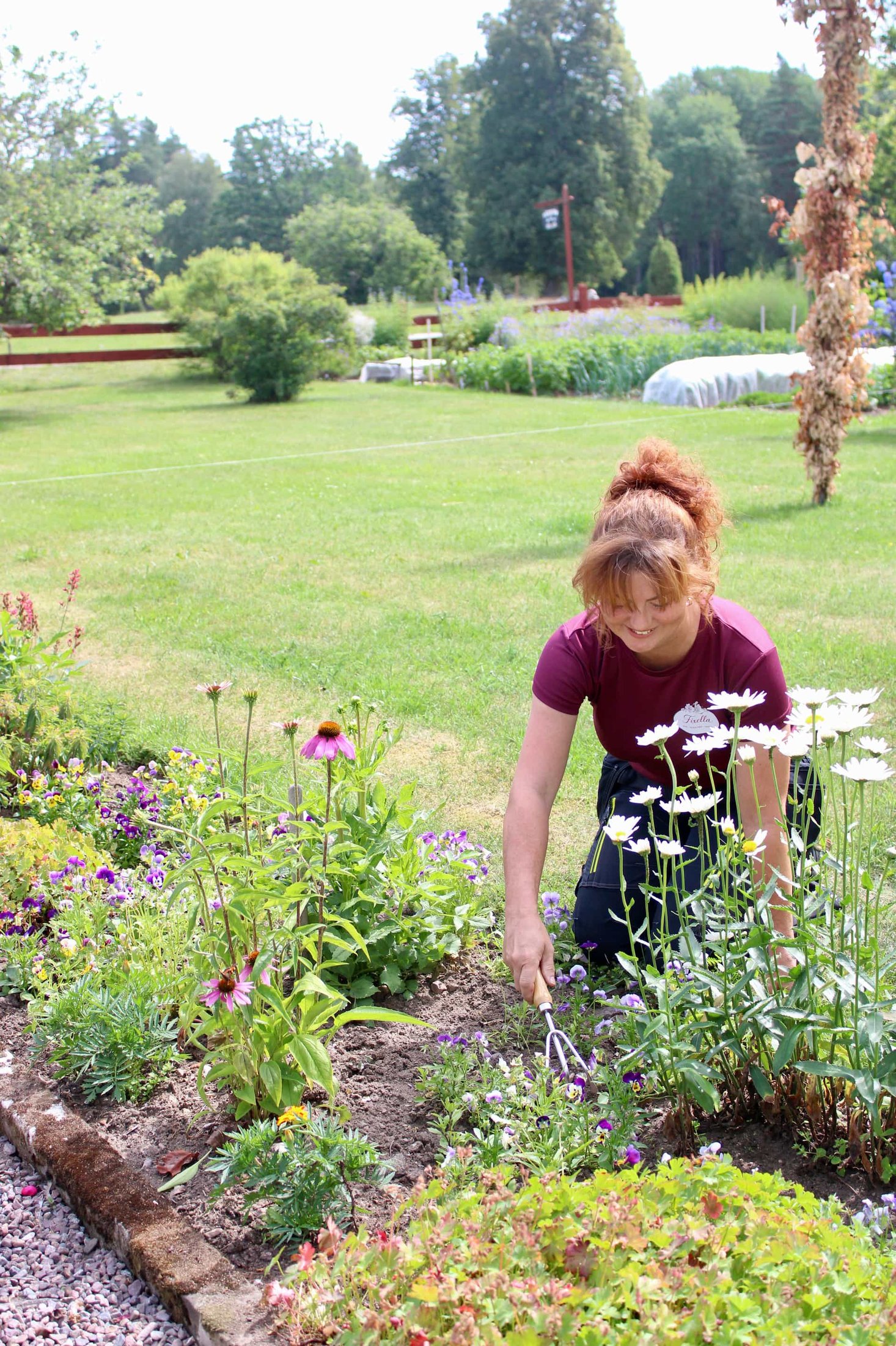 Plantering och rabattvård – Fixella