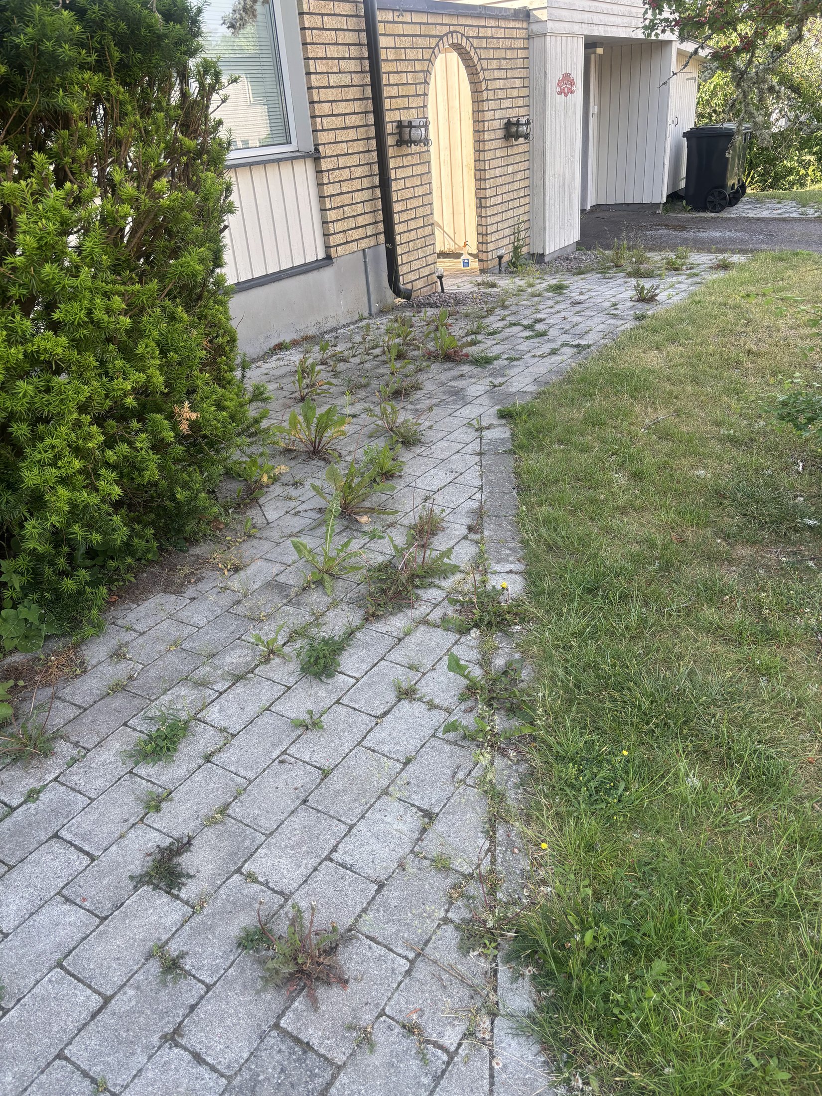 Gångväg före ogräsrensning